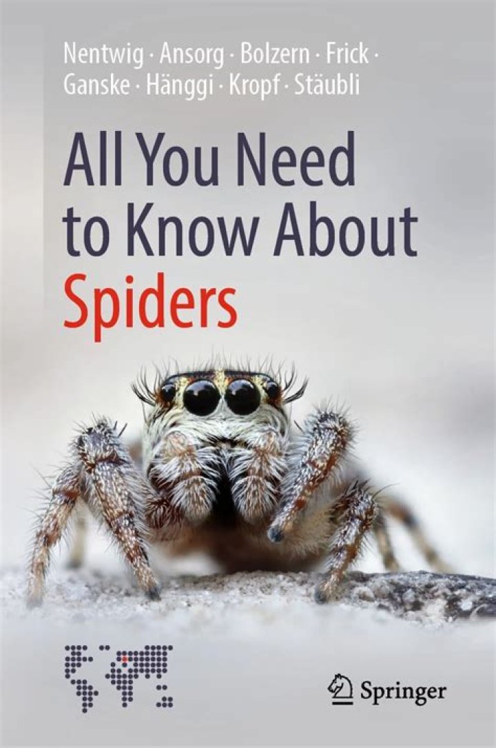 Discover All You Need To Know About [Topic]