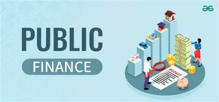 Public Finance