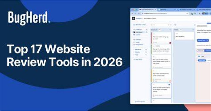 Website Review Tool