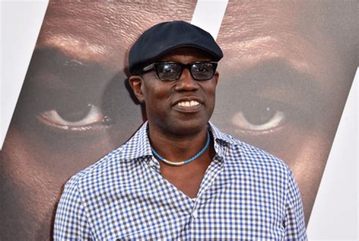Wesley Snipes Ordered to Pay IRS 9.5 million After Court Battle Essence